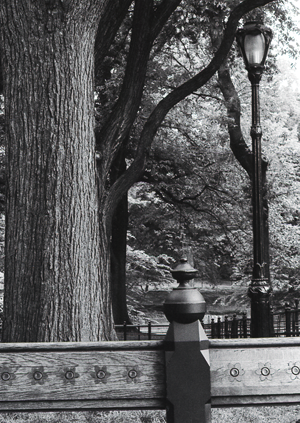 CENTRAL PARK FINIAL- 2002