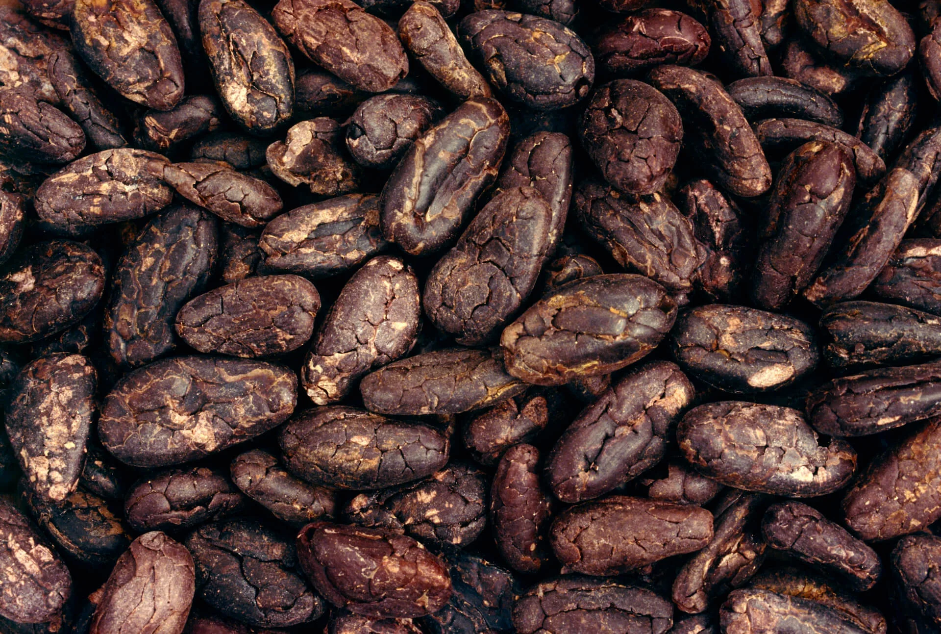 cocoa-beans-small.jpg