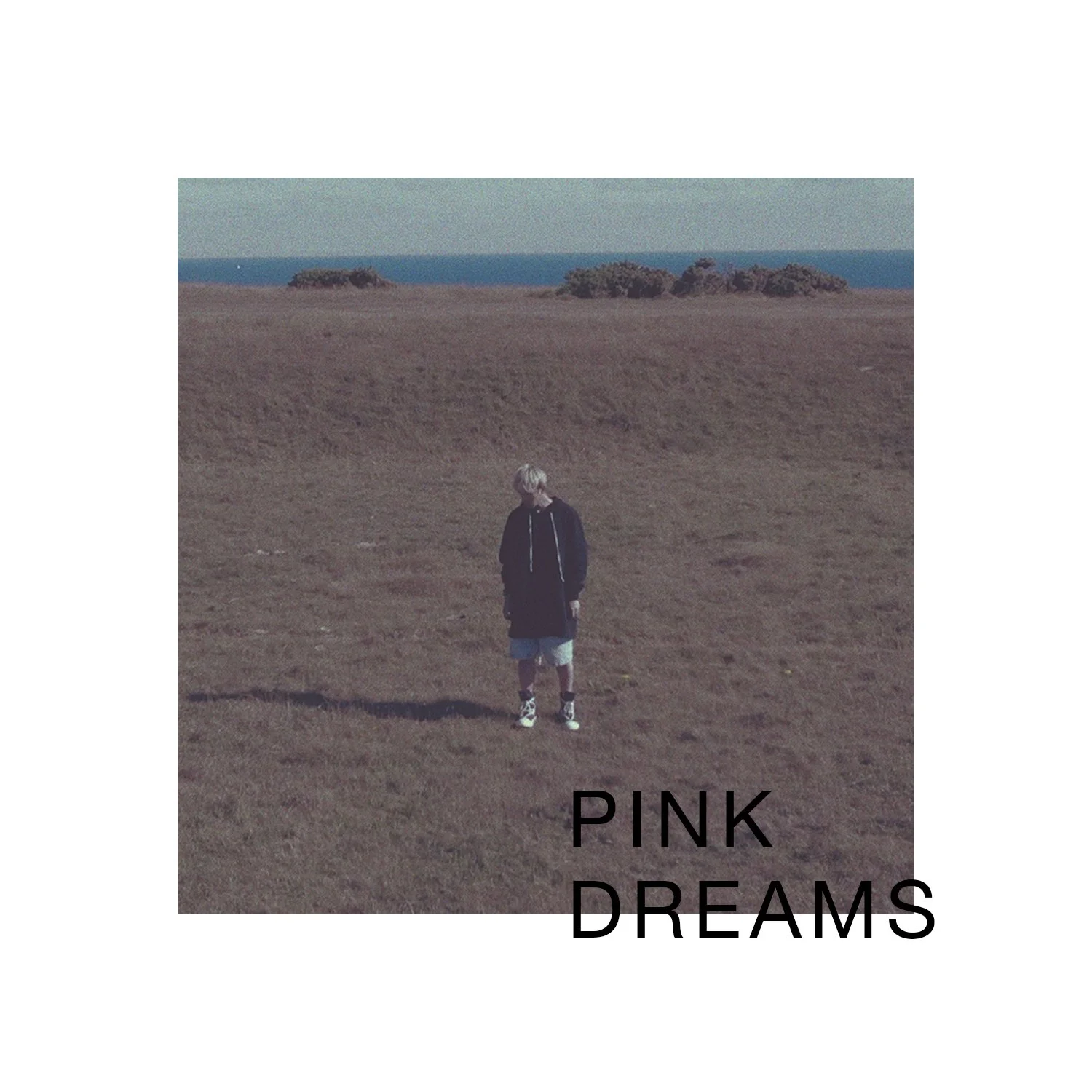 Pink Dreams.jpg