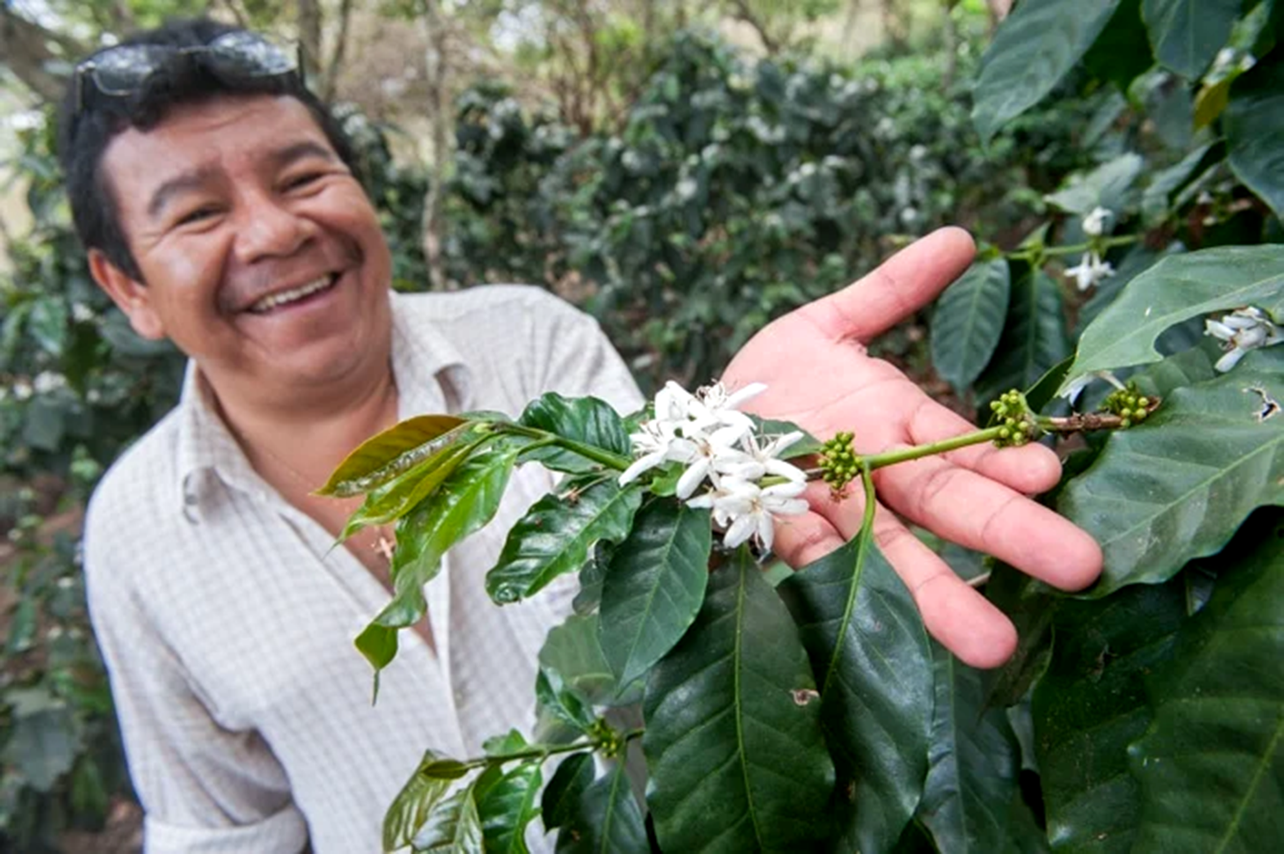 Cocasam Photo Small.png