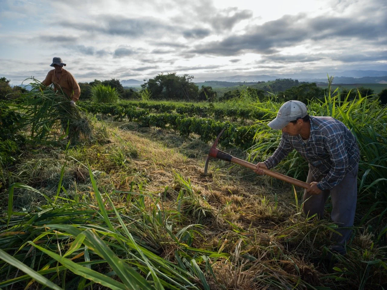 BF 2025 3 Large.jpeg