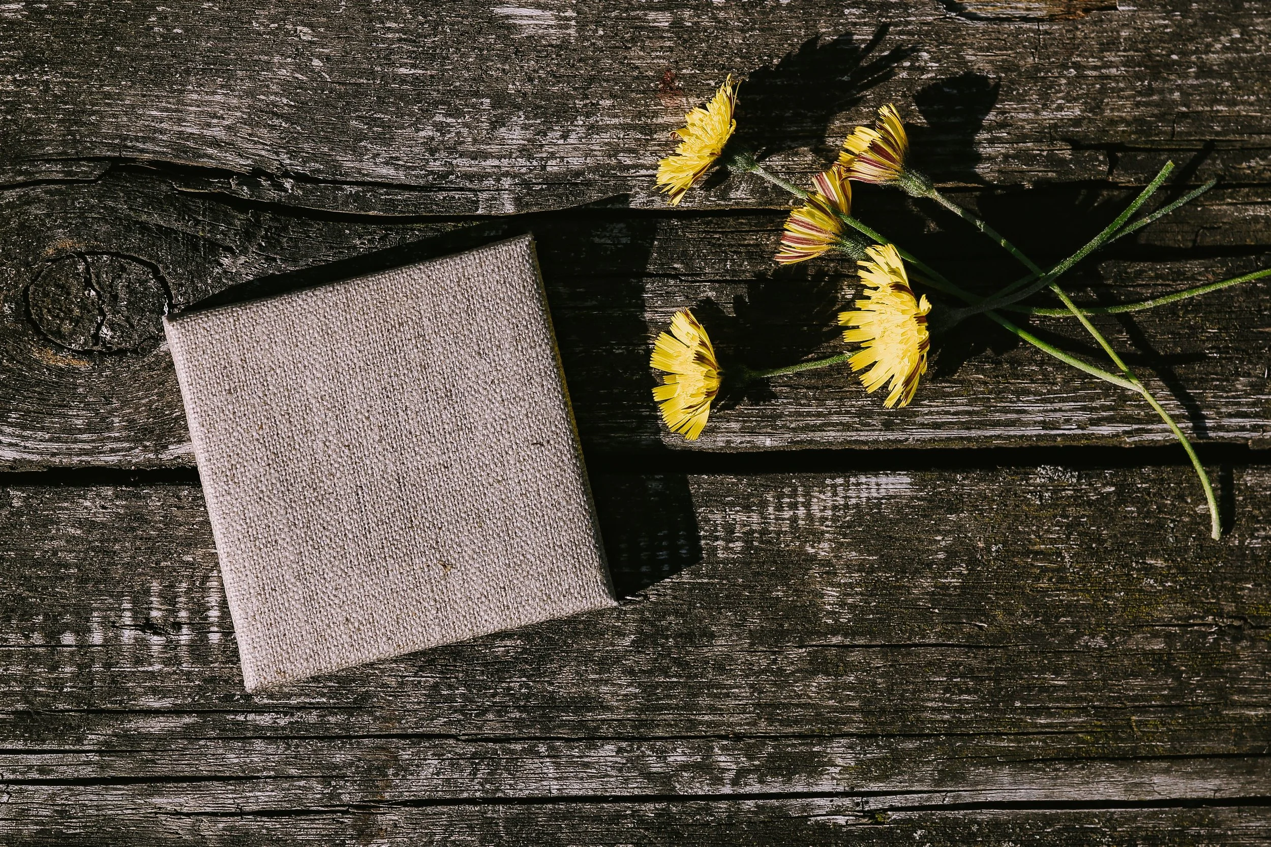 kaboompics_Little open space canvas with yellow flowers.jpg