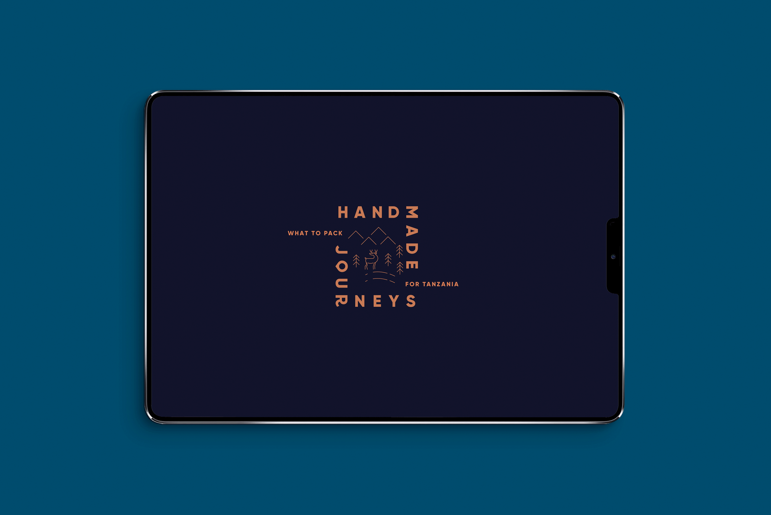 ipad-mockup.gif