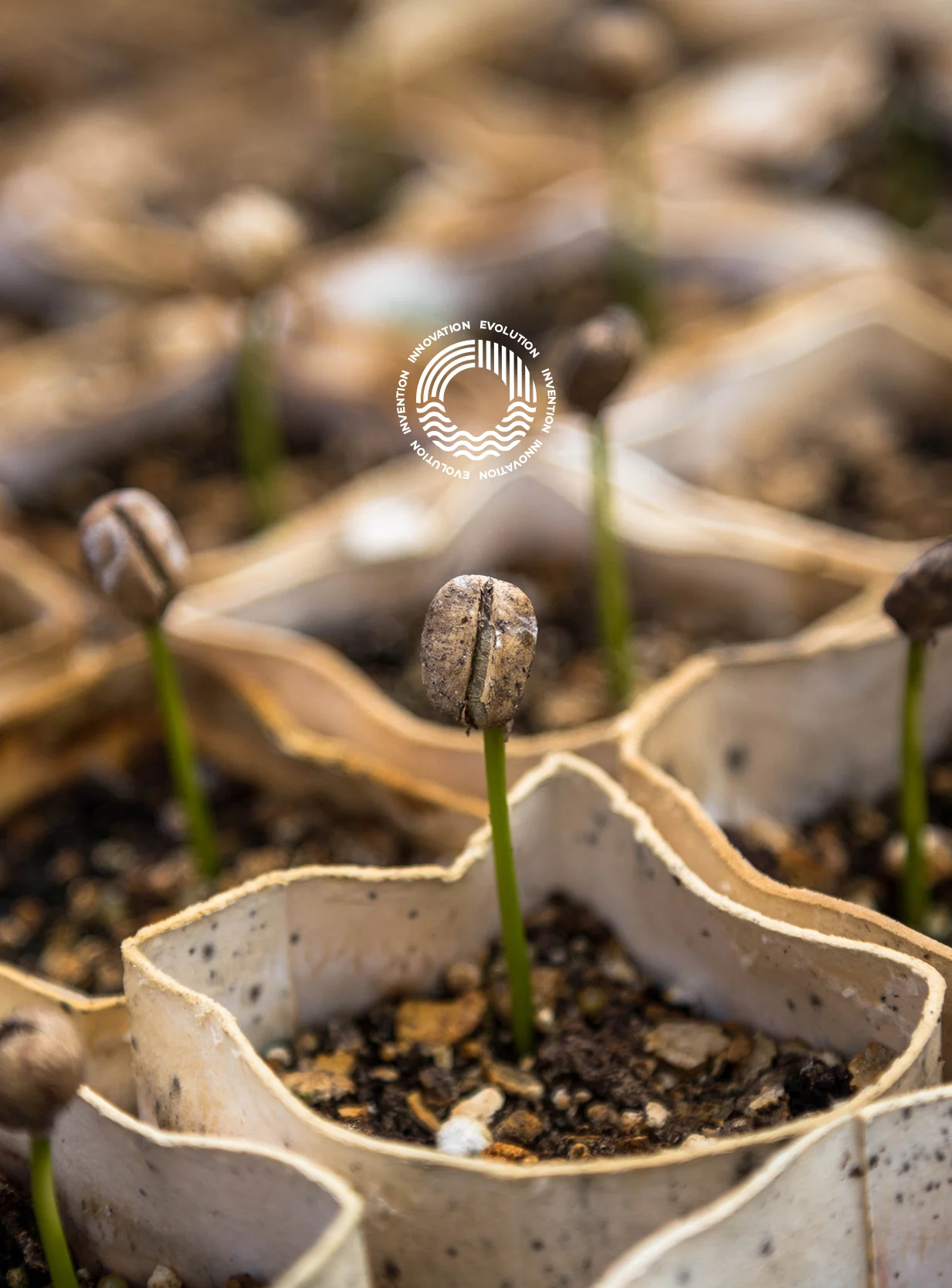 Mahyco grow template10b1.jpg