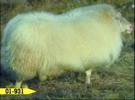 Langidalur.jpg