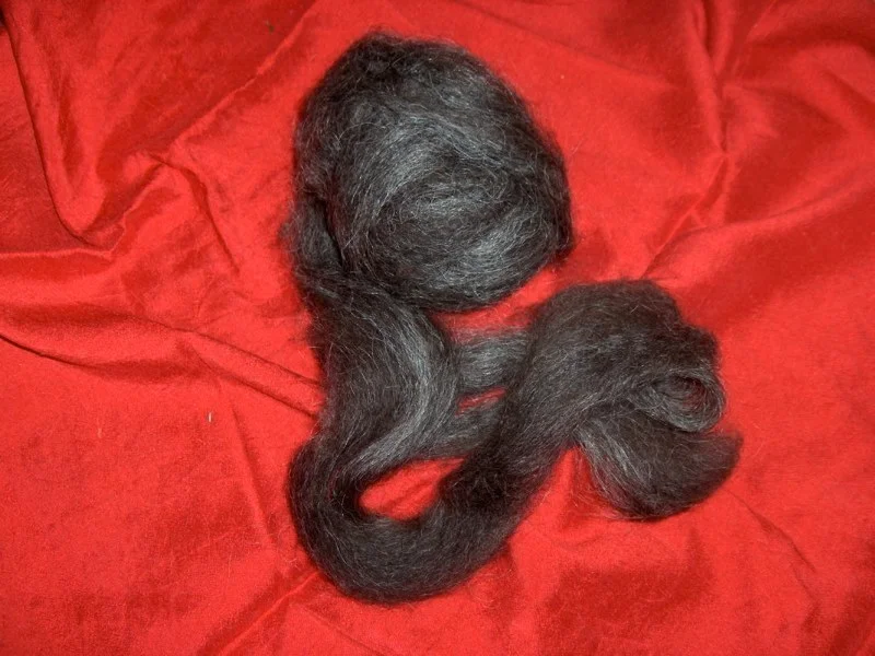 black Icelandic, combed tog.jpg