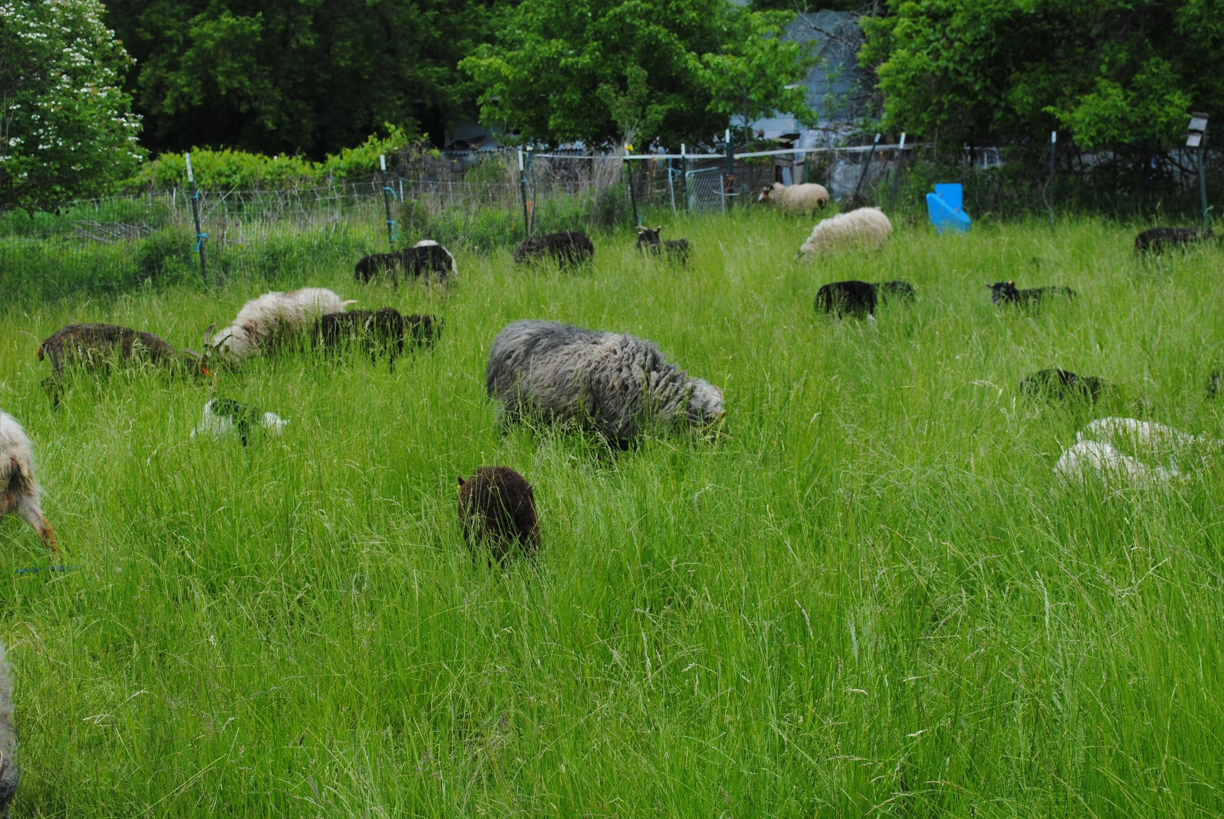 OUR 2023 CALENDAR OF EVENTS AND FESTIVALS