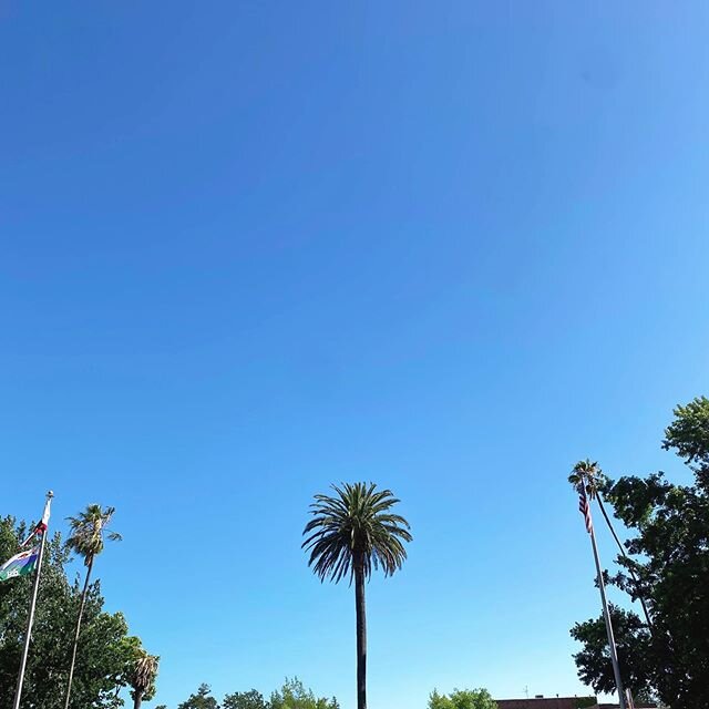 Come on by for a scoop and then take a stroll through the beautiful Sonoma Plaza.⁣
⁣
The trees will provide shade and the small town vibe will provide a comfortable energy. ⁣
⁣
It&rsquo;s what hot summer Sonoma days are made of ☀️⁣
⁣
#sonomaplaza #sw