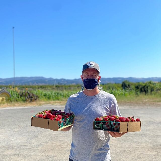 Fresh and local is our thing 🍓 ⁣
⁣
#handcraftedicecream #localfarm #freshstrawberries #watmaughstrawberries #icecreamingredients