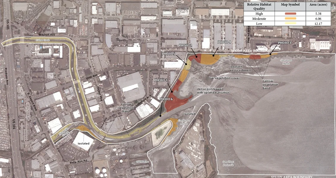Salt Marsh Harvest Mouse Habitat Quality