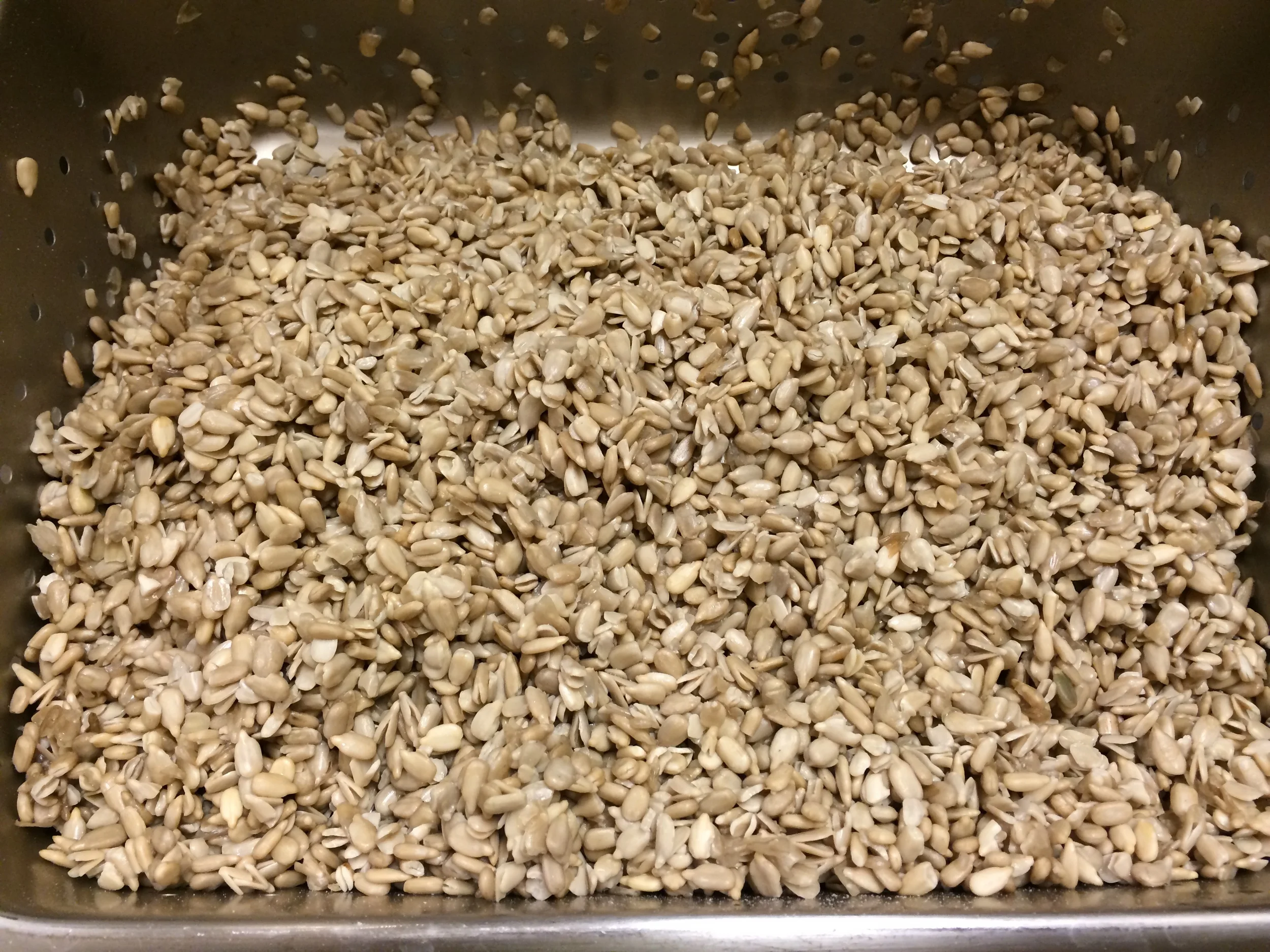 Whole grains ready for milling.