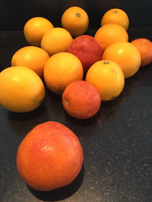 Navel and blood oranges from my generous neighbors.