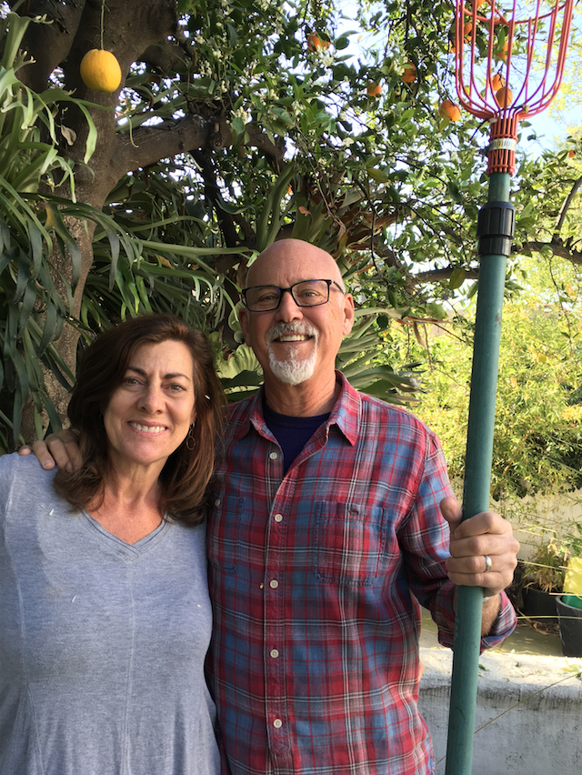 Kate Sullivan and Ed Verreaux with the "old orange tree" and picker. 