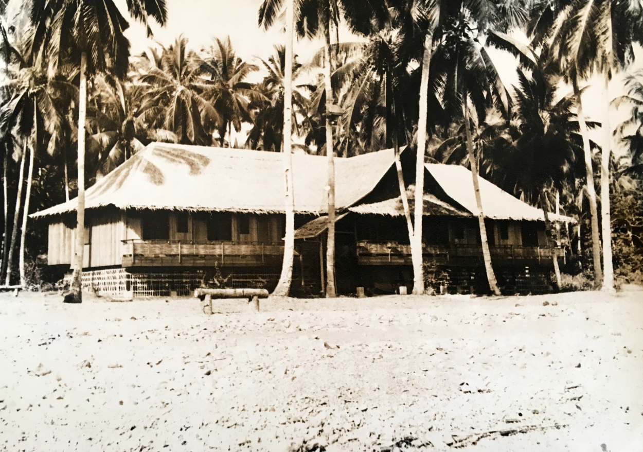  At one time during our years overseas, my family lived in this Nipa house in the Philippines. No windows, no electricity, Coleman lanterns and gecko lizards at night. 