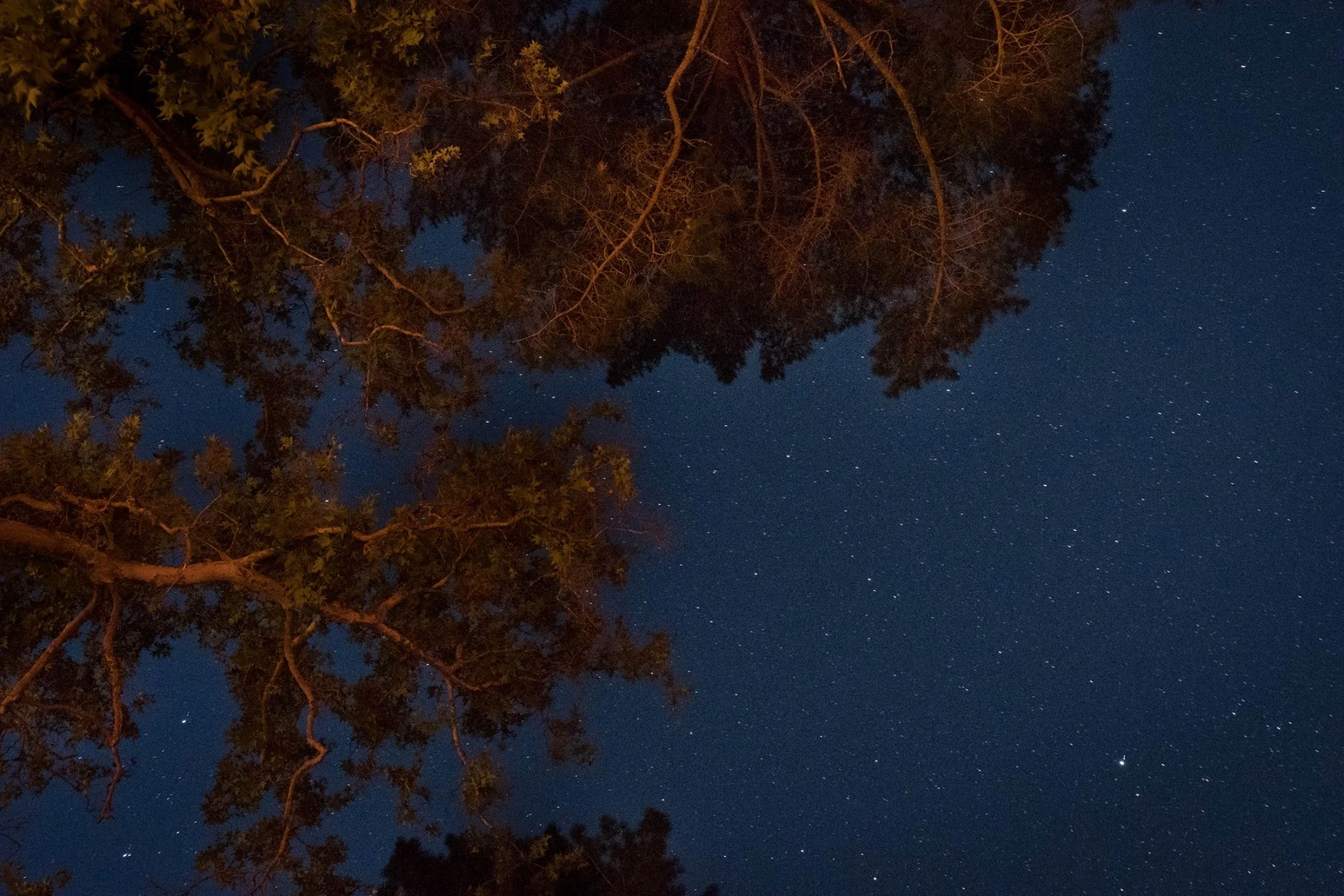 Night sky photograph by Dennis Keeley, from the Cerro Alto camp site in Atascadero. 