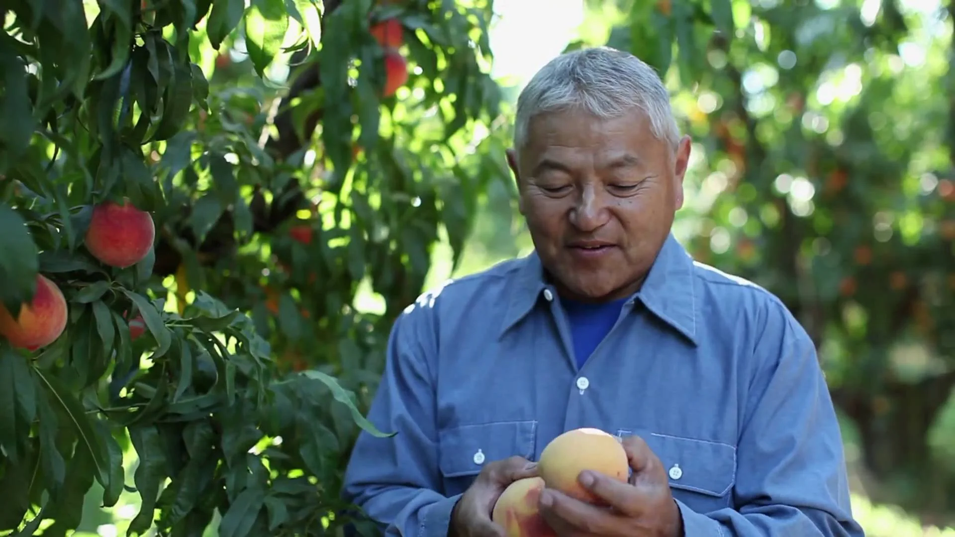 Mas Masumoto , farmer and writer
