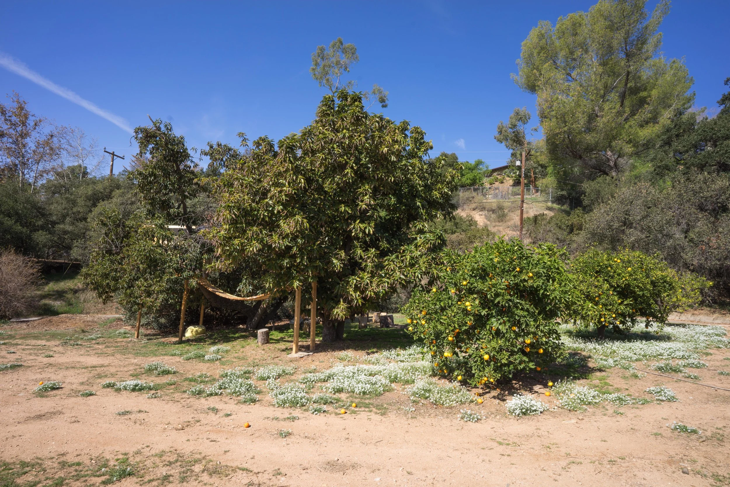 Photo of the McDonald Farm. Photo by Sally Krueger-Wyman.