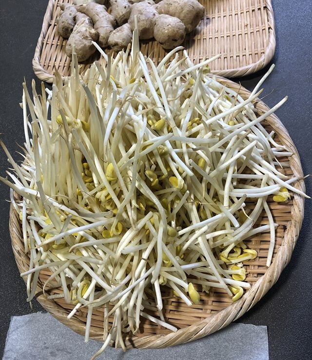 Masako Yatabe Thomsen's baskets of vegetables. This is how she preps food. Every step is aesthetic .
.
. 
#theurbanforagersjournal #theurbanforager #urbanforager #cooking #cook #homemade #homecook #homechef #recipes #food #pasadena #foraging #forager