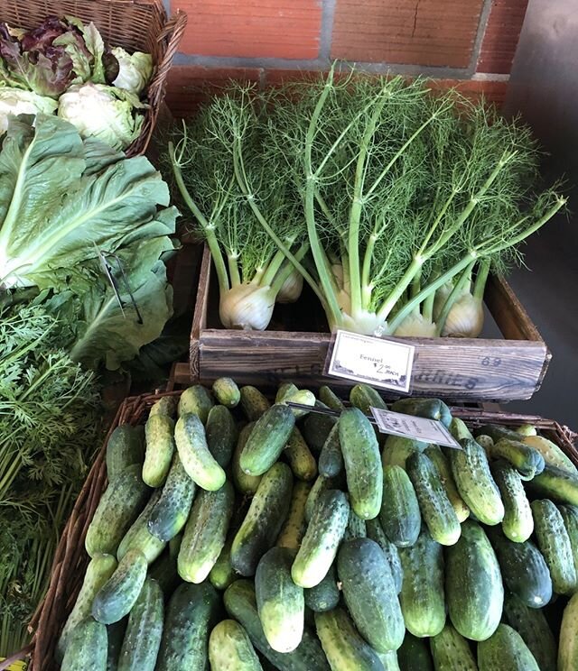 .How many shades of green are there? Let's count by vegetable type. .
. 
#theurbanforagersjournal #theurbanforager #urbanforager #cooking #cook #homemade #homecook #homechef #recipes #food #pasadena #foraging #forager #urbanforaging #eaterla #laeats 