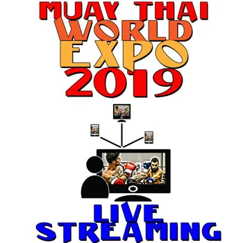 19MTWE-live_streaming-s.jpg