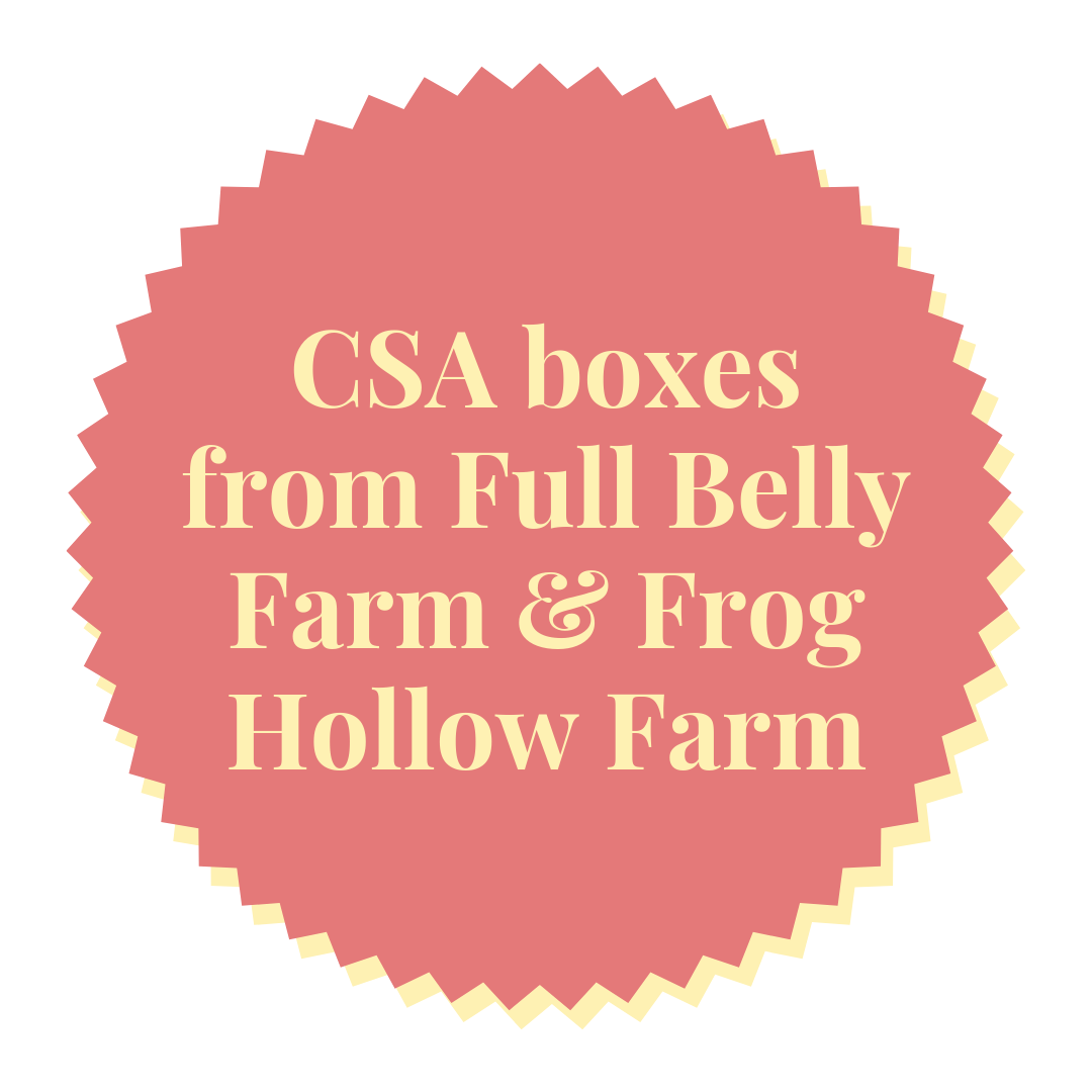 csa.png