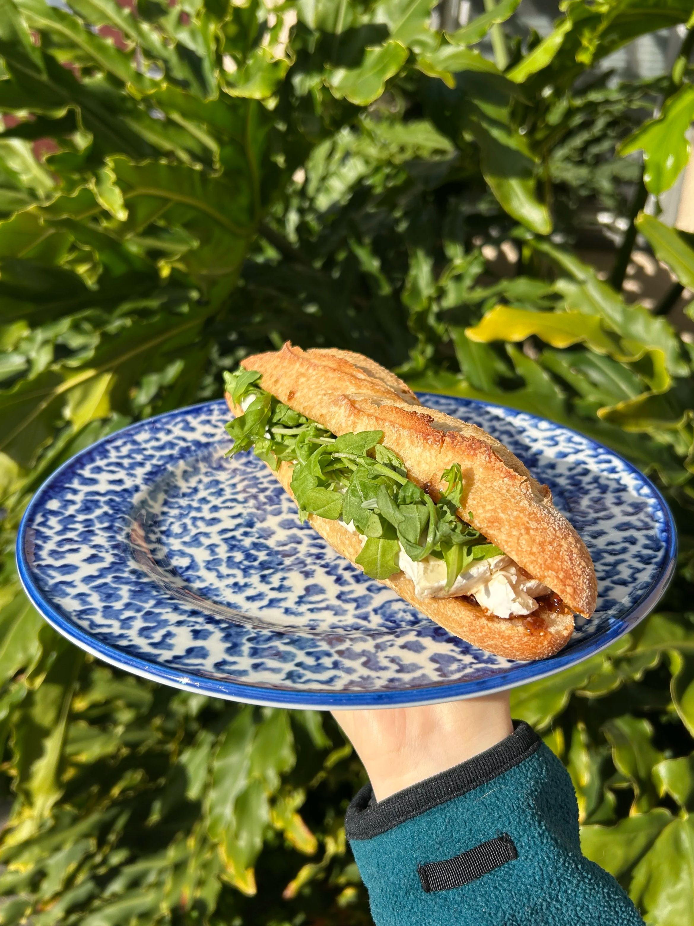 A sandwich on a decorative blue-patterned plate being held outdoors in front of green leafy bushes.