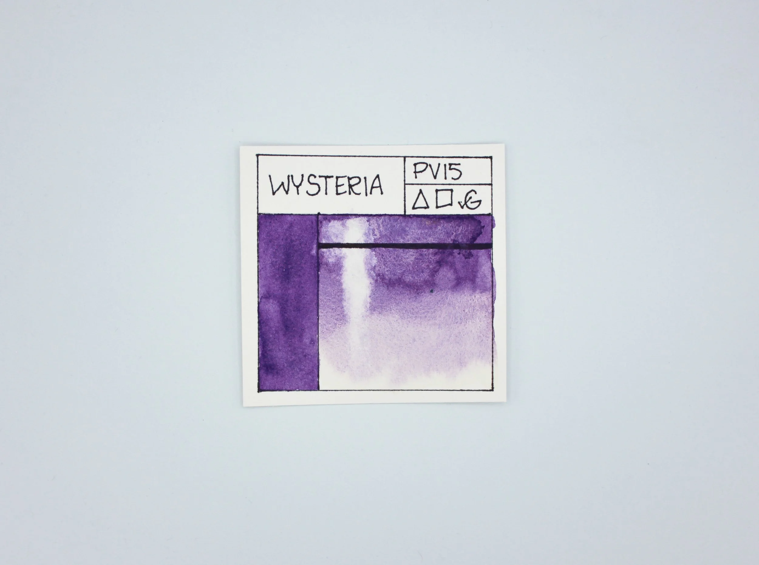 wysteria3.jpg