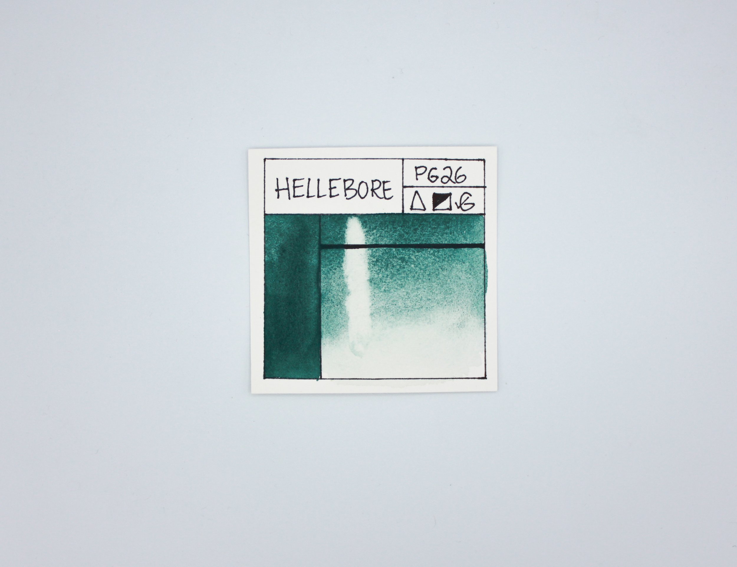 hellebore3.jpg