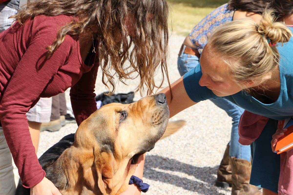 Signe and Rachel commune with Brad Meade's bloodhound