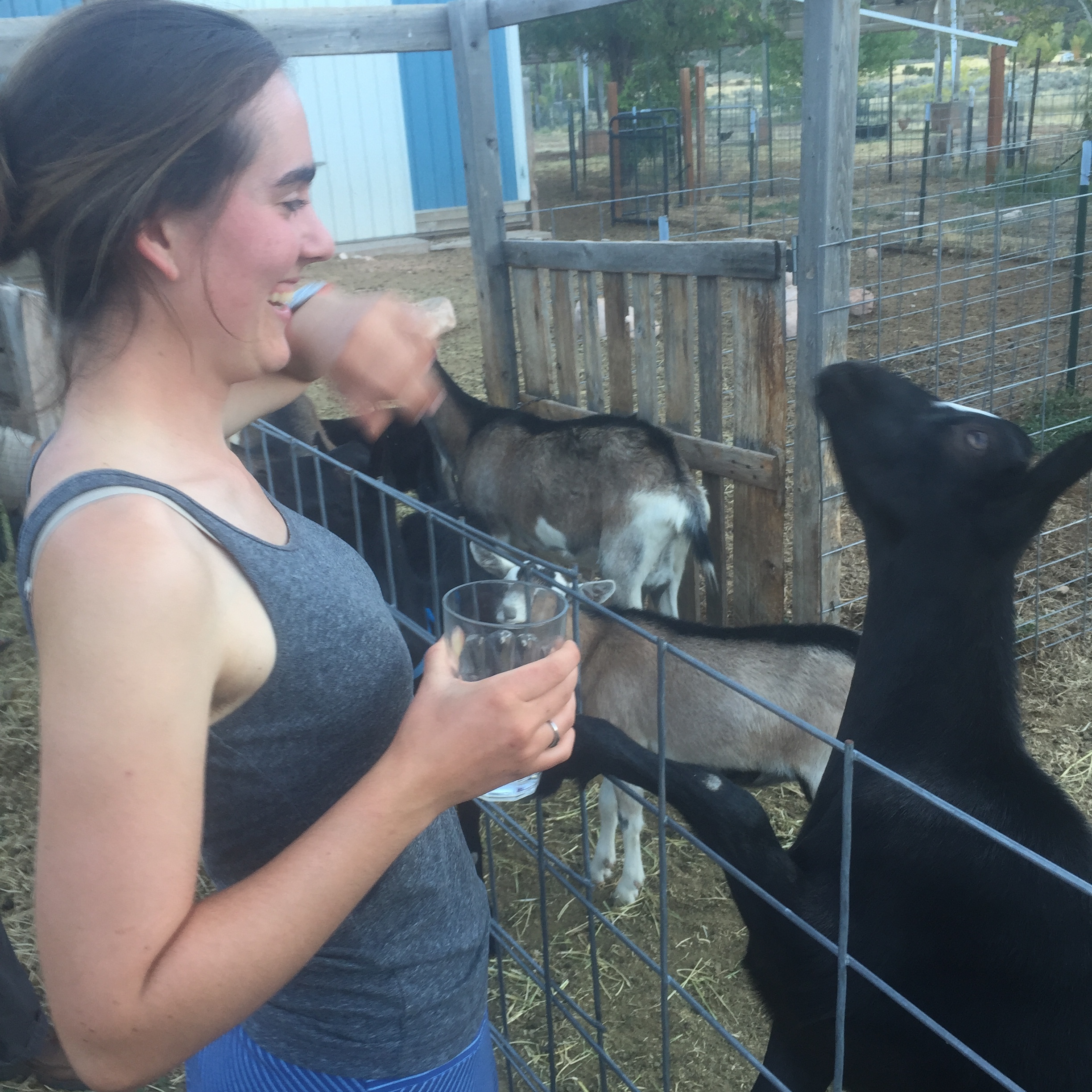 Sarah meets the goats of Castle Valley Creamery
