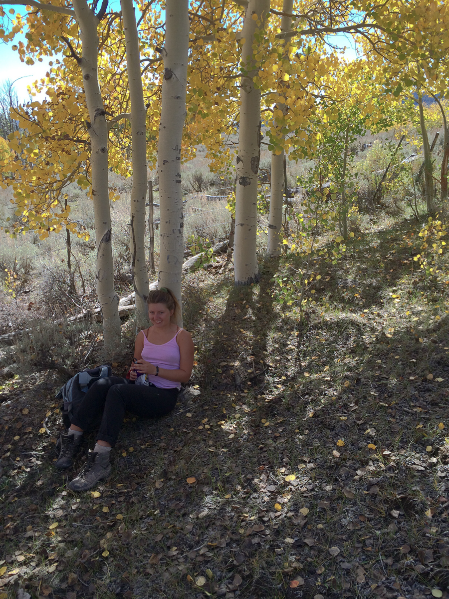 Sophie taking a break on Monroe Mountain