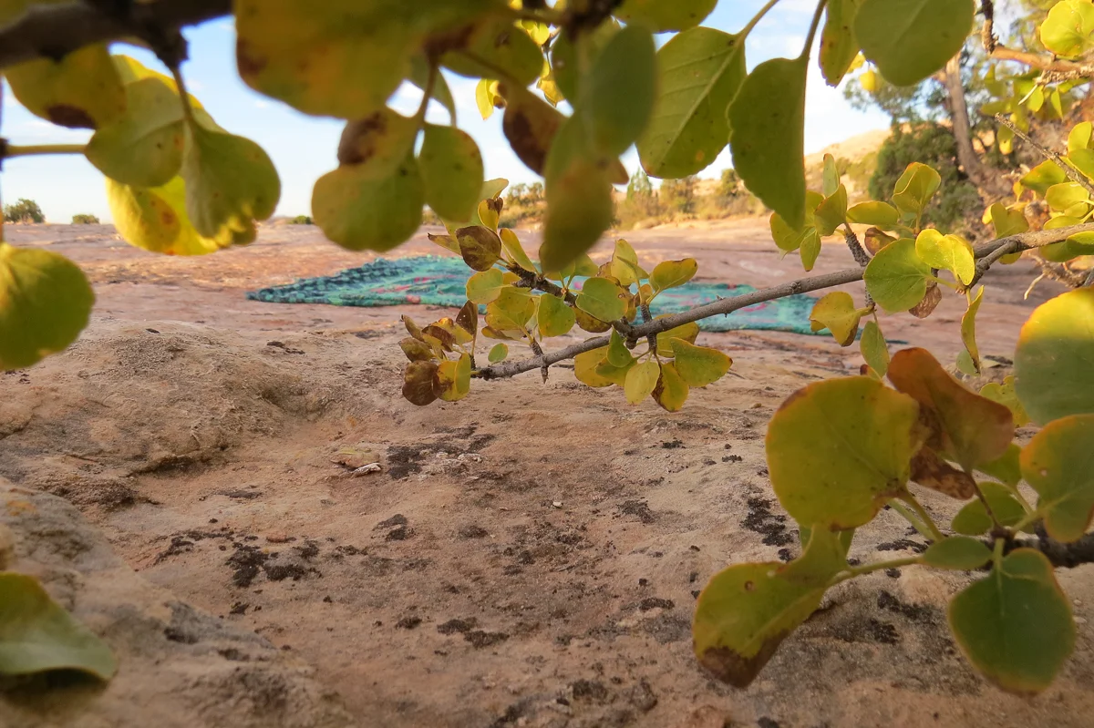 Photo by Nina Finley, SITW '16