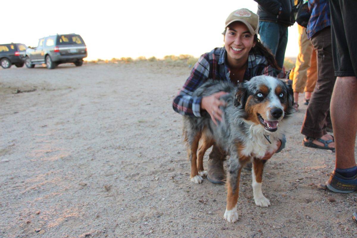 Dogs in the West (a continuing series)