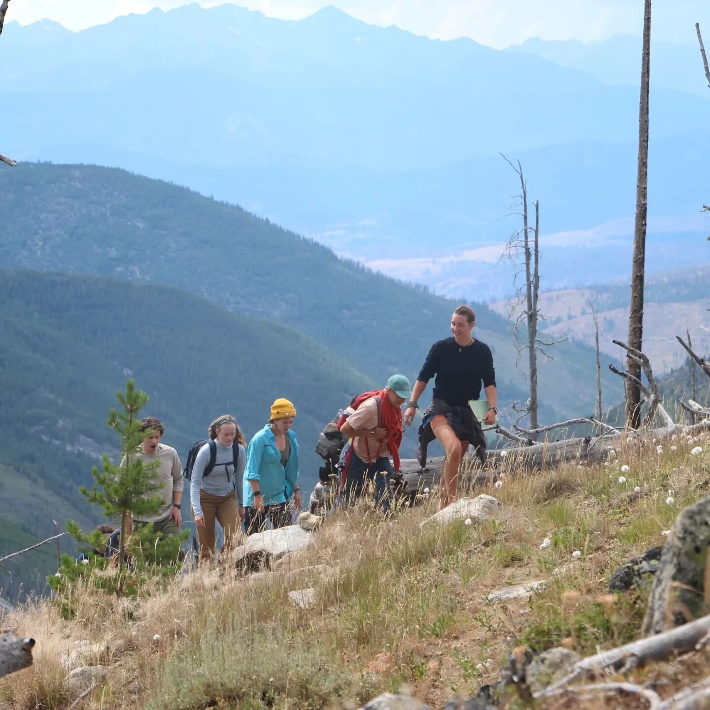 Can you see the forest for the trees? We've headed to the forests of the Methow to meet with experts in silviculture, fire management, and biochar. 

Students continue to be faced with questions about finding a sustainable balance in human management