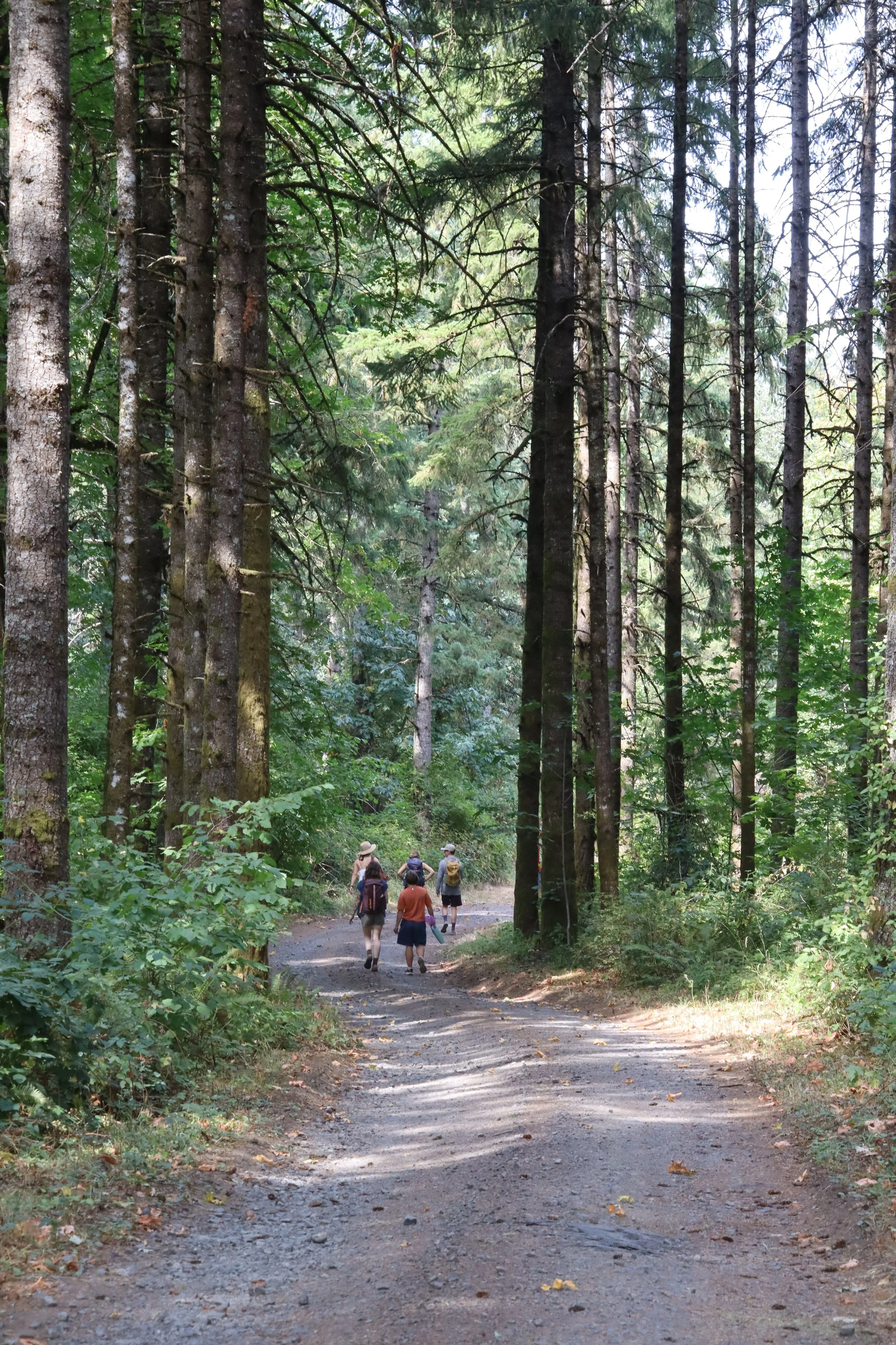 Welcome to our Camp: Zena Forest