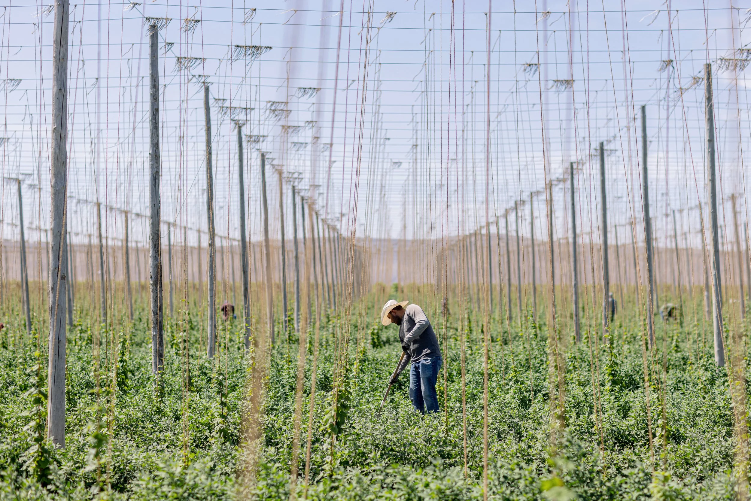 Griffin Arnett: Migrants and Millionaires: Searching for a More Equitable West