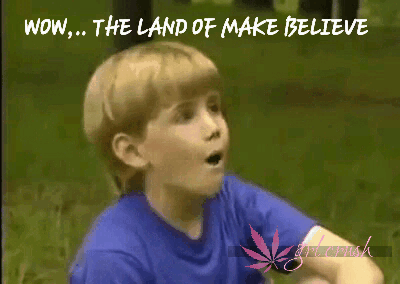 44EB2A84-3E77-4909-AE8E-0AF0DE43BBBC.gif