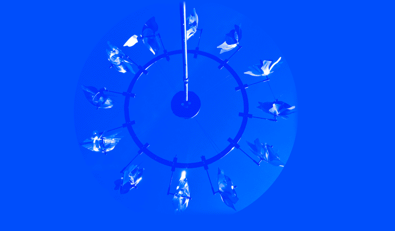 RADICAL RITUALS | YBCA