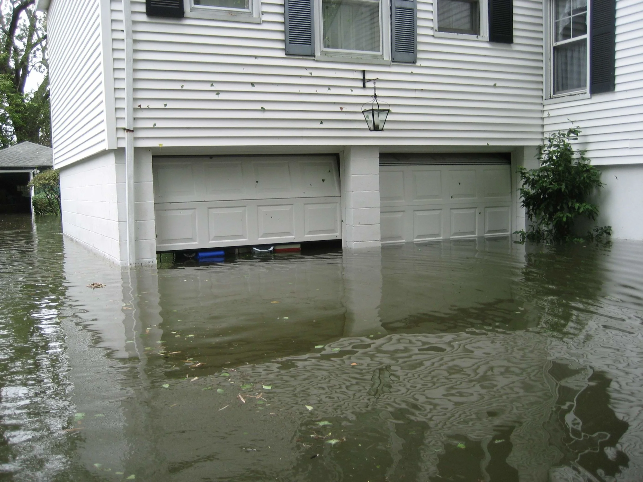 IMG_1970.jpg