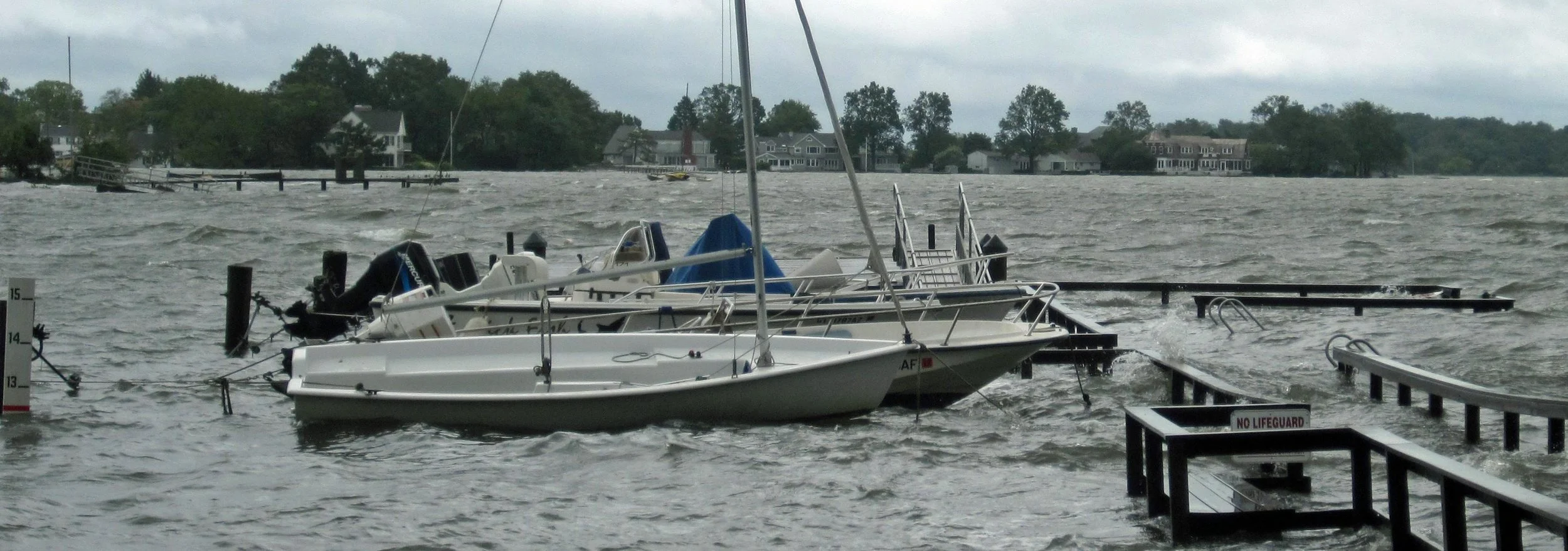 dockpicture3.jpg