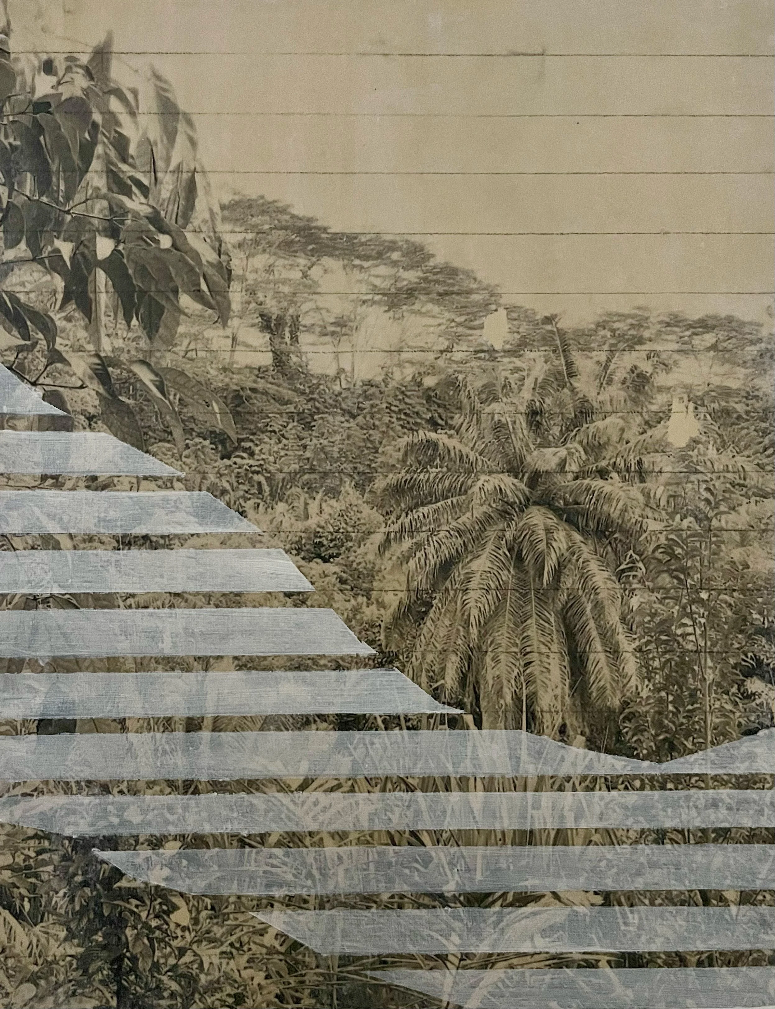  HDB 2 | 28cm x 36cm | fotofransfer, oil, acrylic and pencil on wood | 2024 