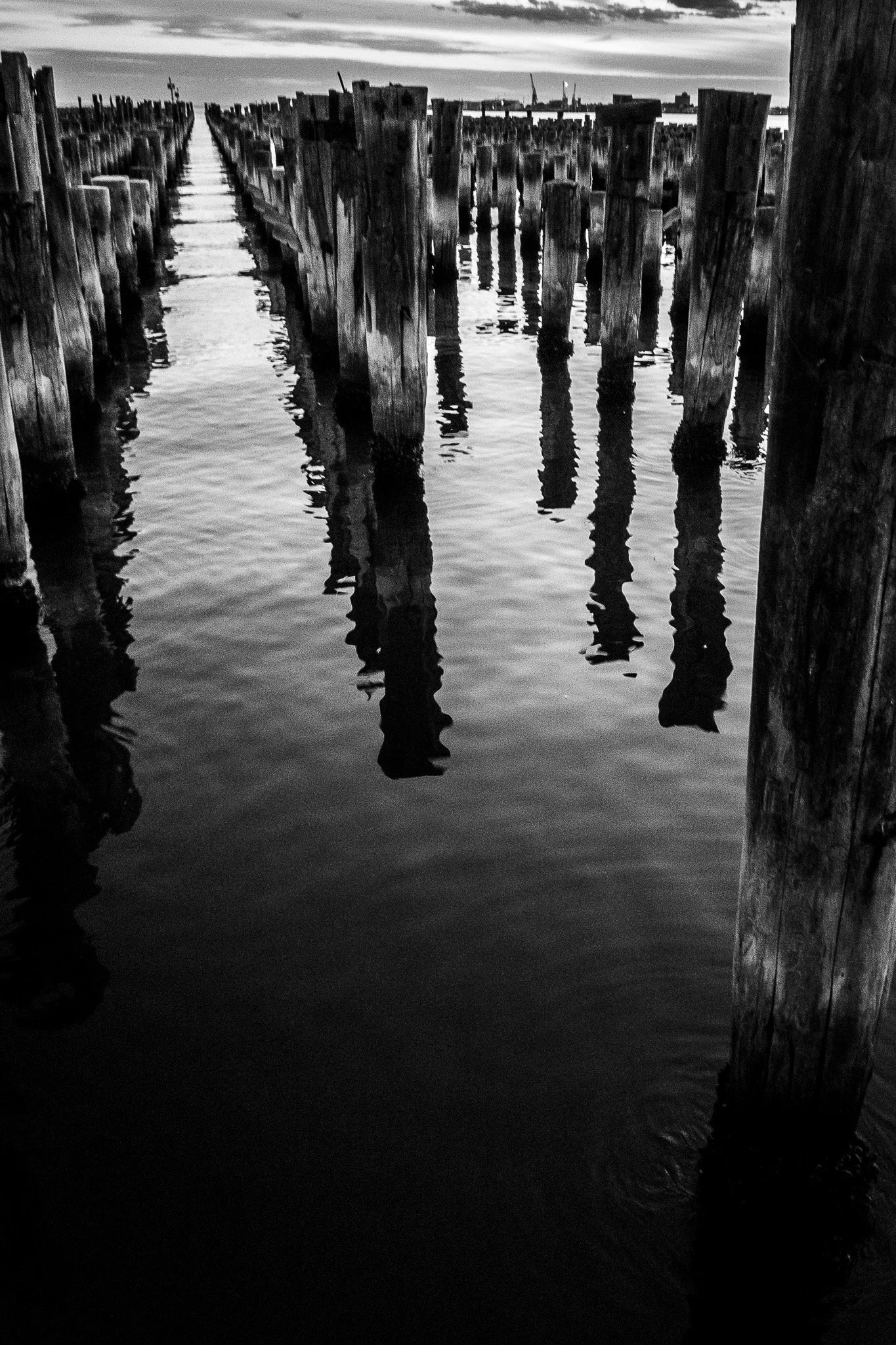 Princes Pier, 2017