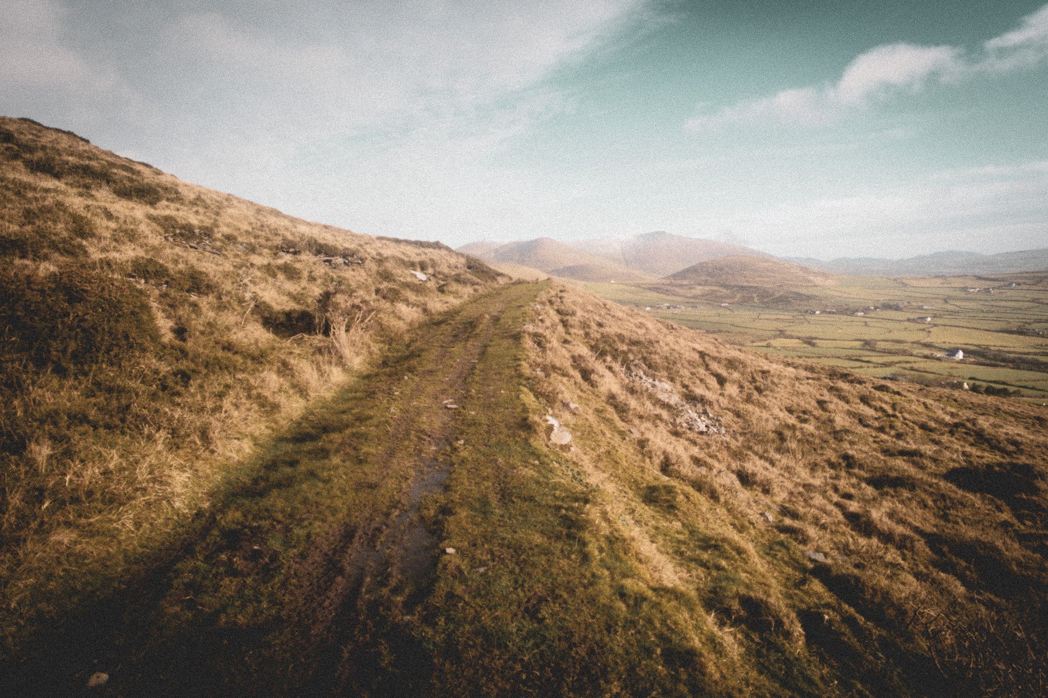 Dingle, 2020