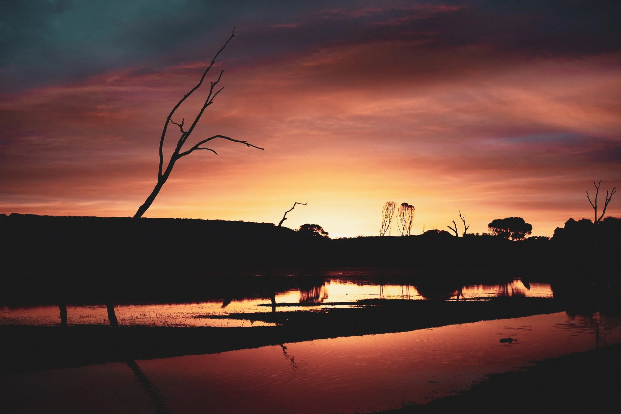 South Australia, 2018