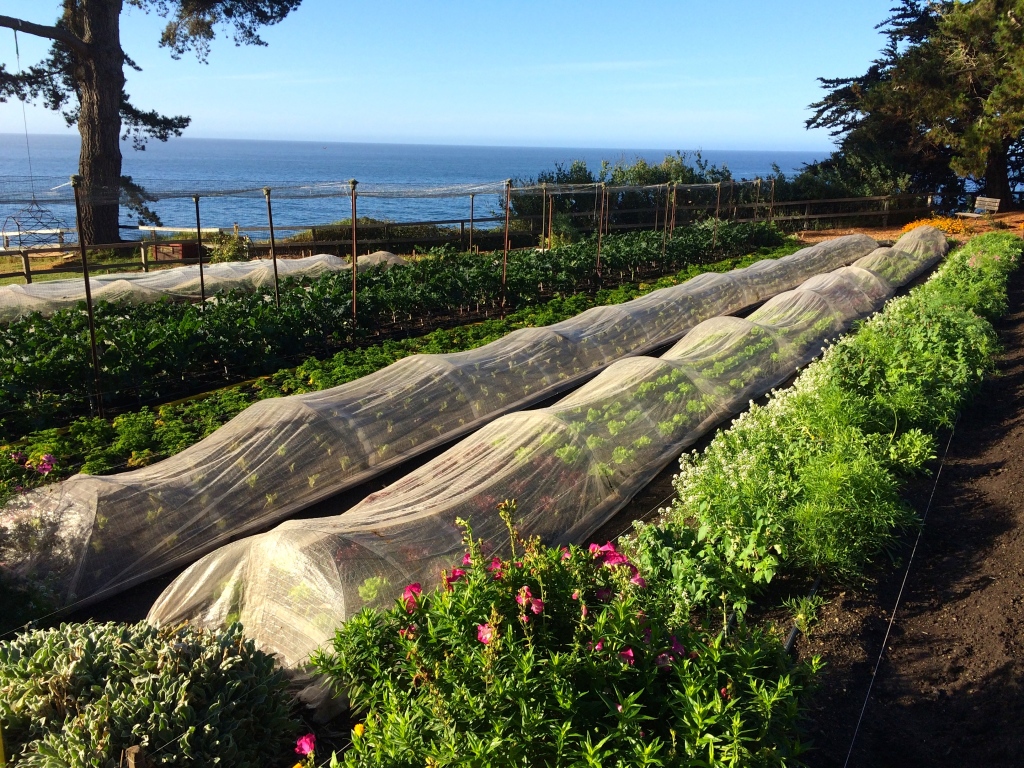Esalen, Big Sur, California