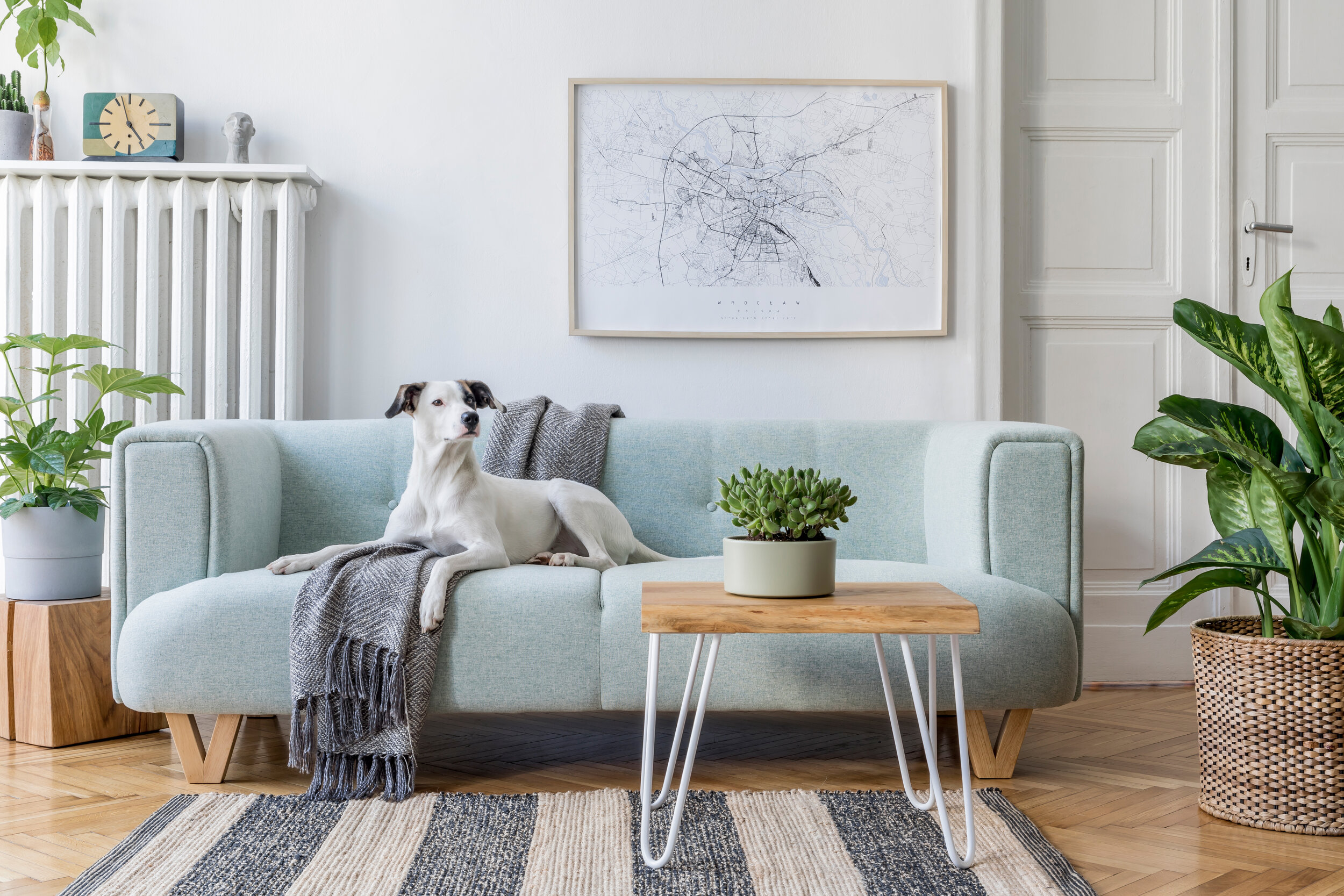 Positive Space In Interior Design