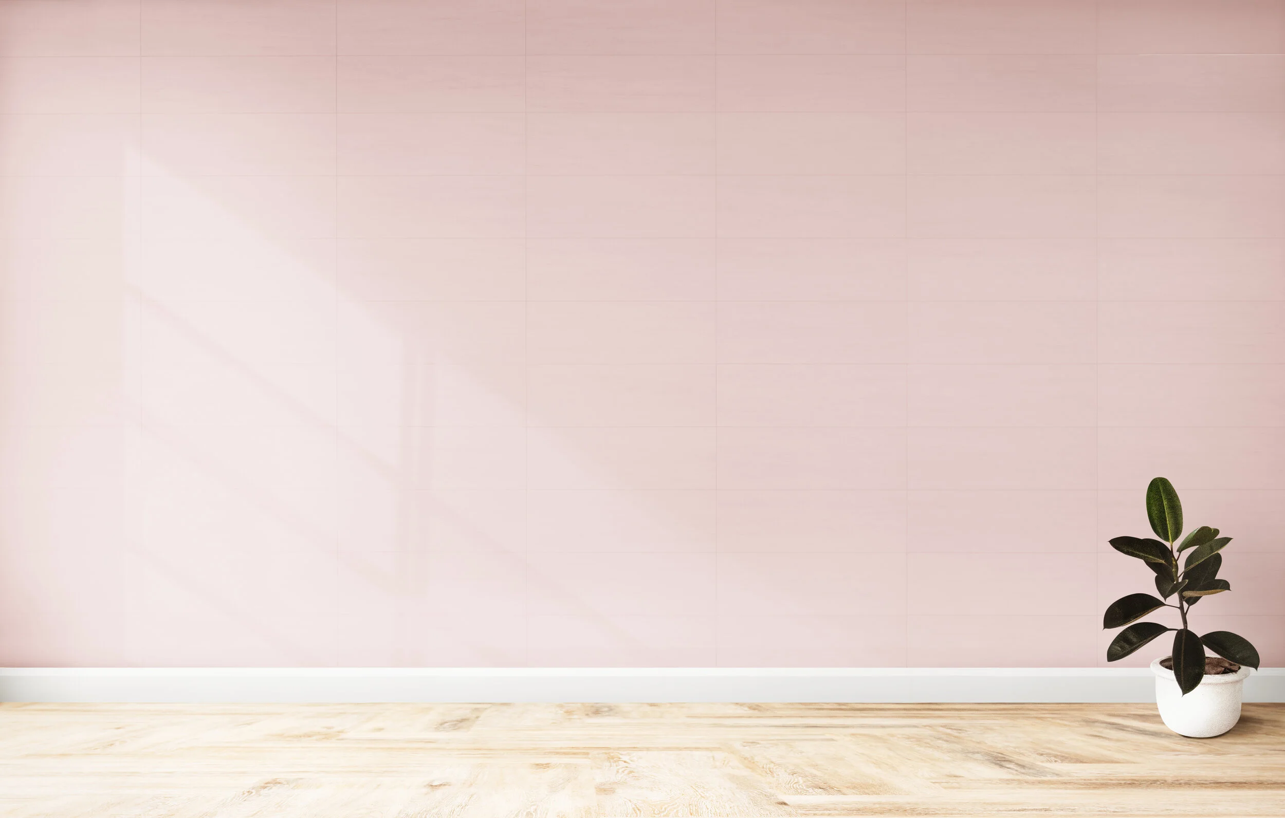 AdobeStock_341158827.jpeg