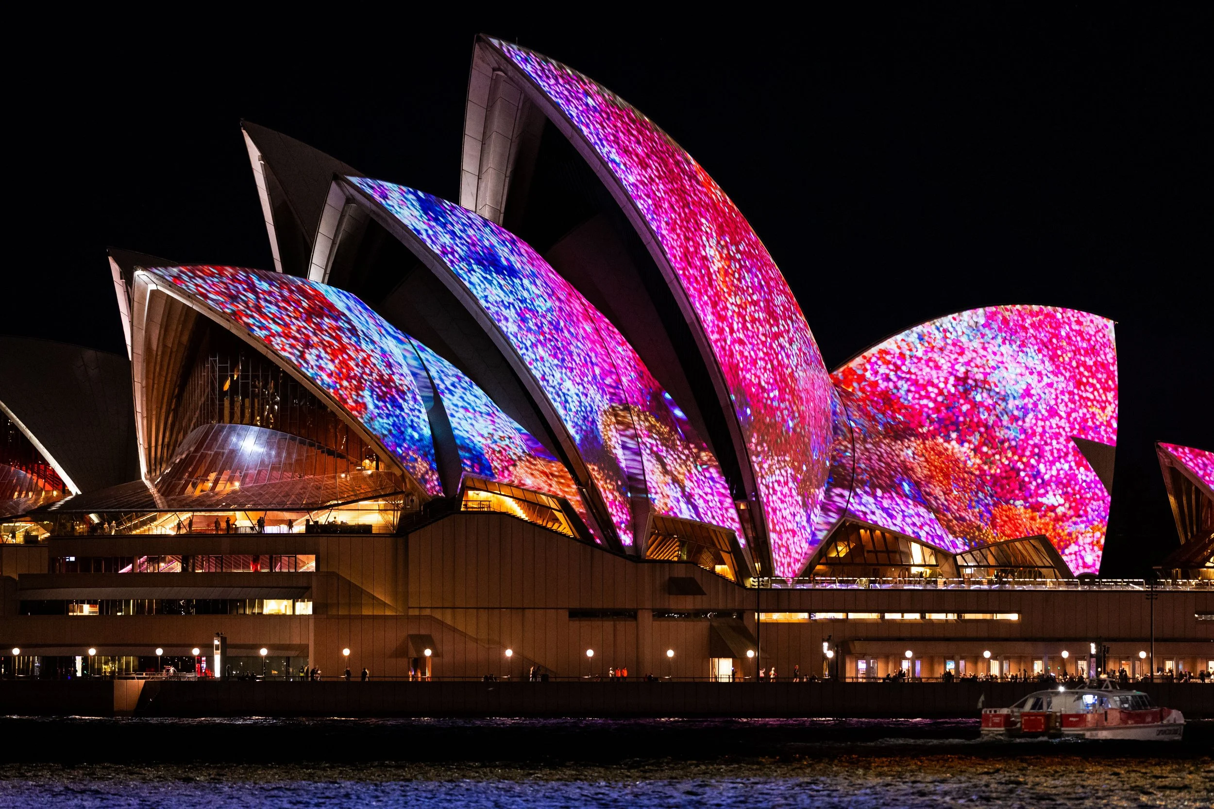 2PLP7478.jpg
