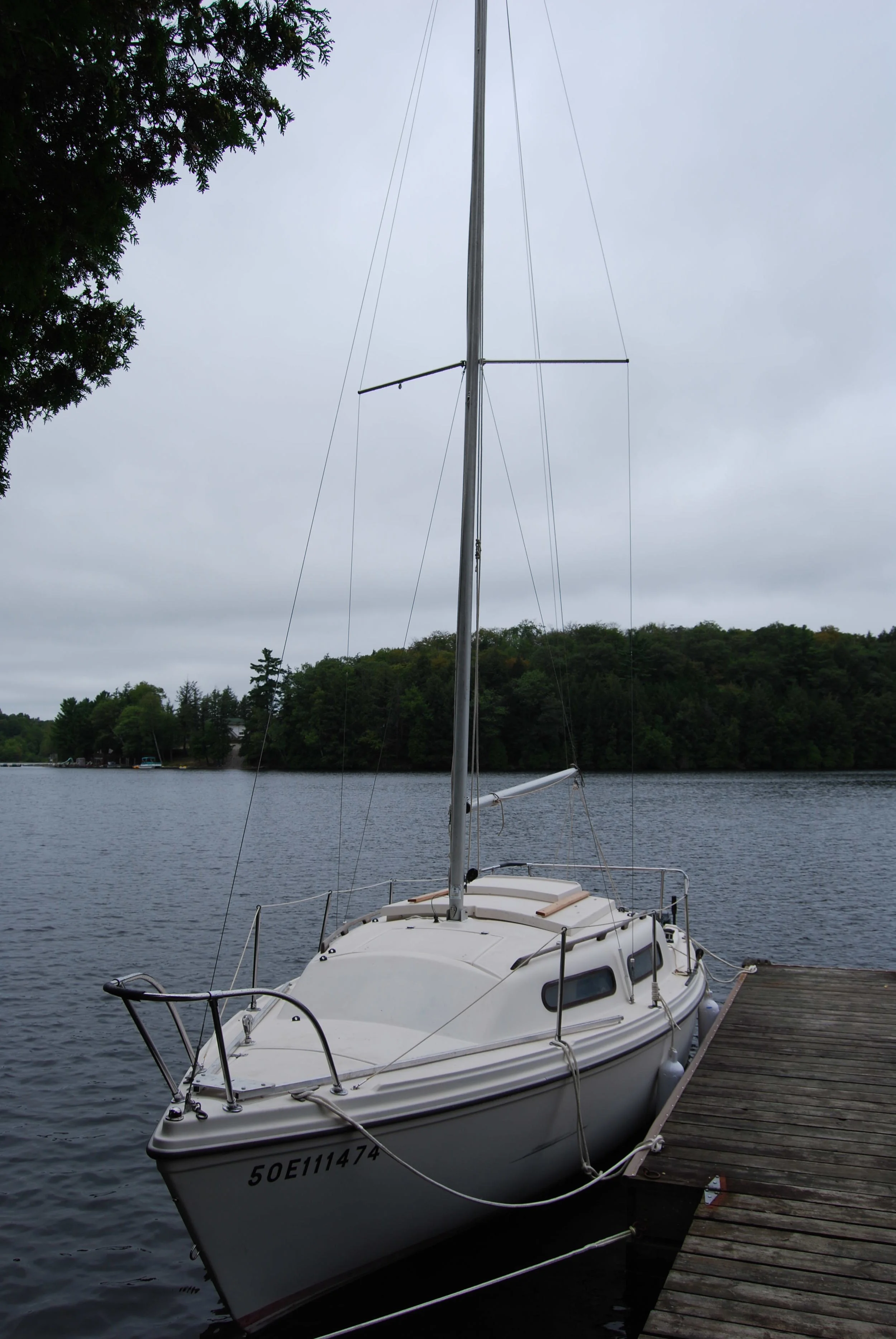 DSC_4541.JPG