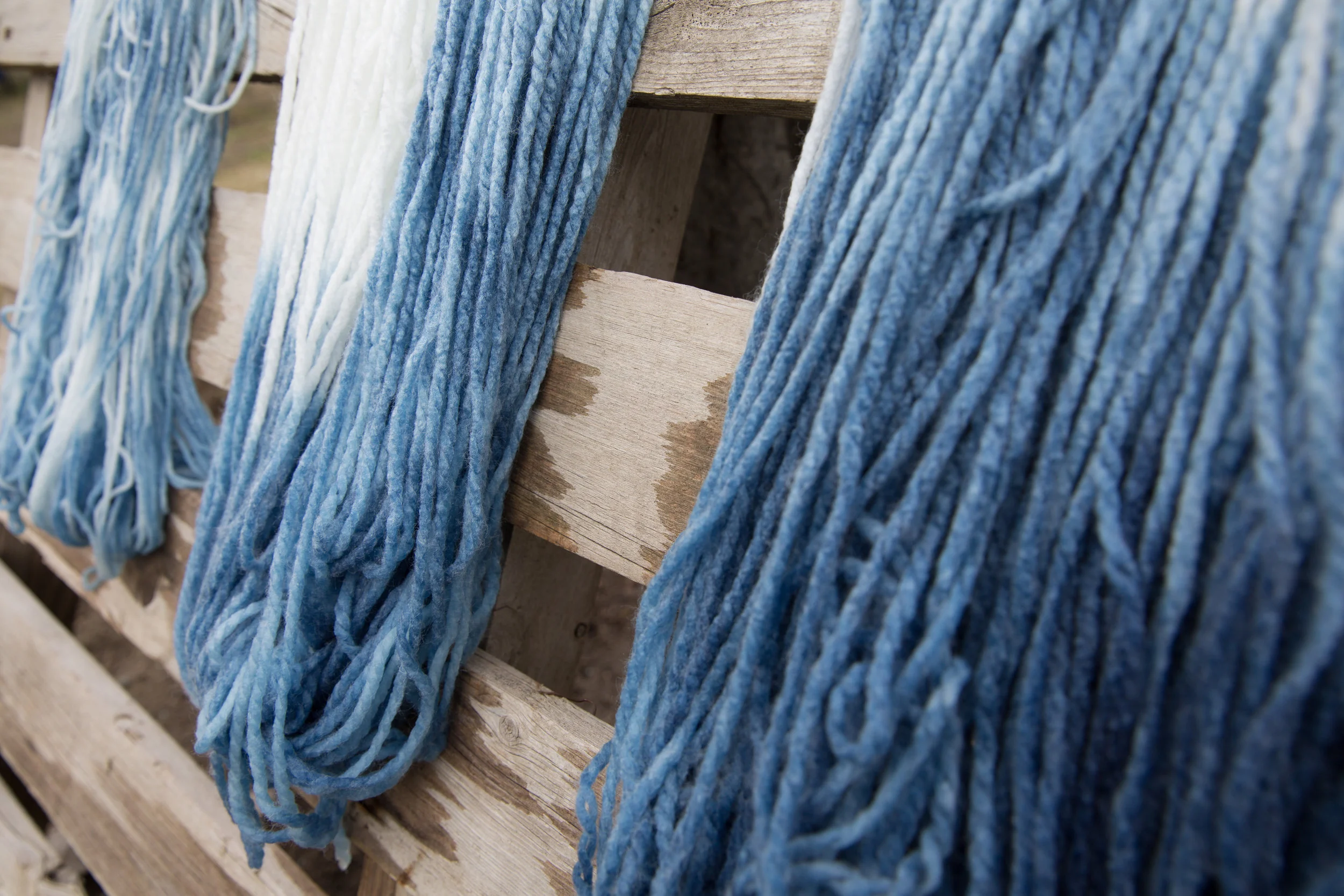 yarn.jpg